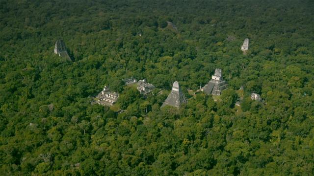 “نیشنل جیو گرافک نے”: نئے دریافت شدہ قدیم شہروں کا پتہ چلایا ہےکہ امریکہ پہلے ہی لاکھوں لوگوں کا گھرتھا