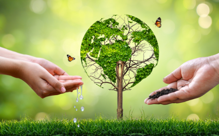 ہماری زِمینی ذمہ داری کیا ہے ؟